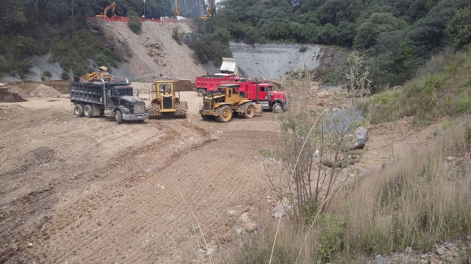 Imagen de WhatsApp 2024-03-11 a las 17.05.30_27448b9b